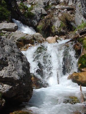 flussbestattung